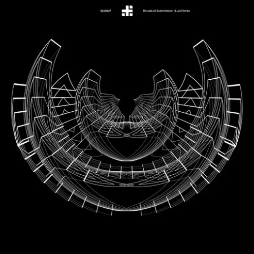 Rituals Of Submission artwork